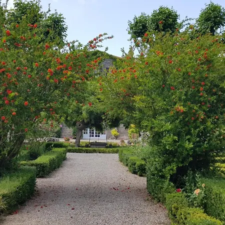 Dans L'aile Du Chateau 130m2 6 Personnes Διαμέρισμα Καρκασόν