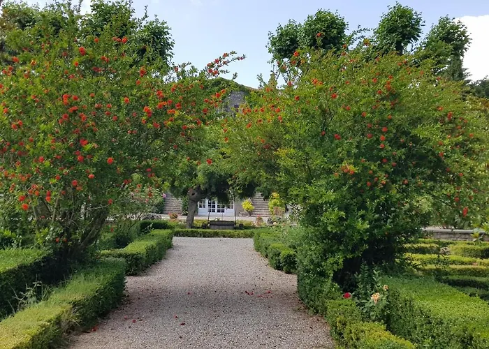Dans L'aile Du Chateau 130m2 6 Personnes Apartment Carcassonne